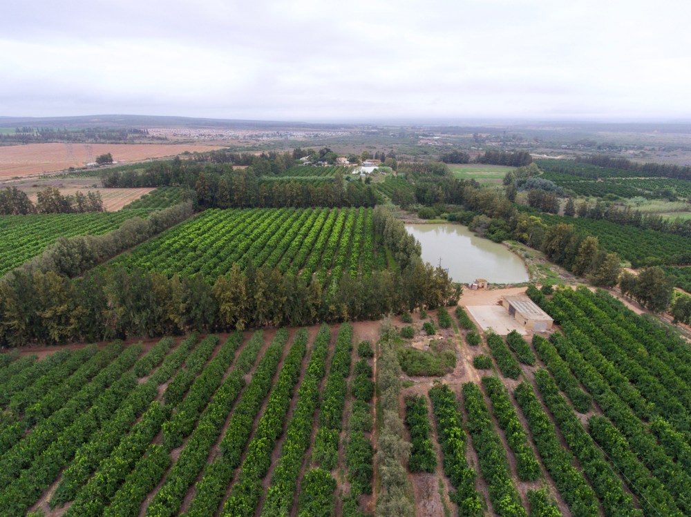 Addo Elephant National Park, Chrislin African Lodge