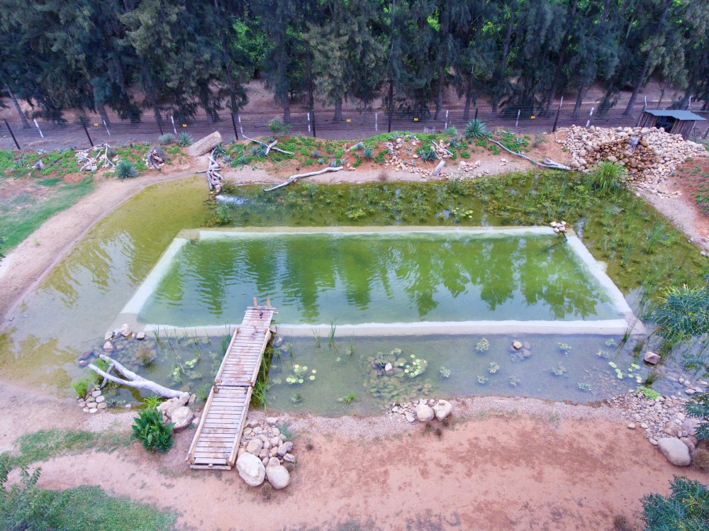 SA: Addo Elephant National Park, Chrislin African Lodge